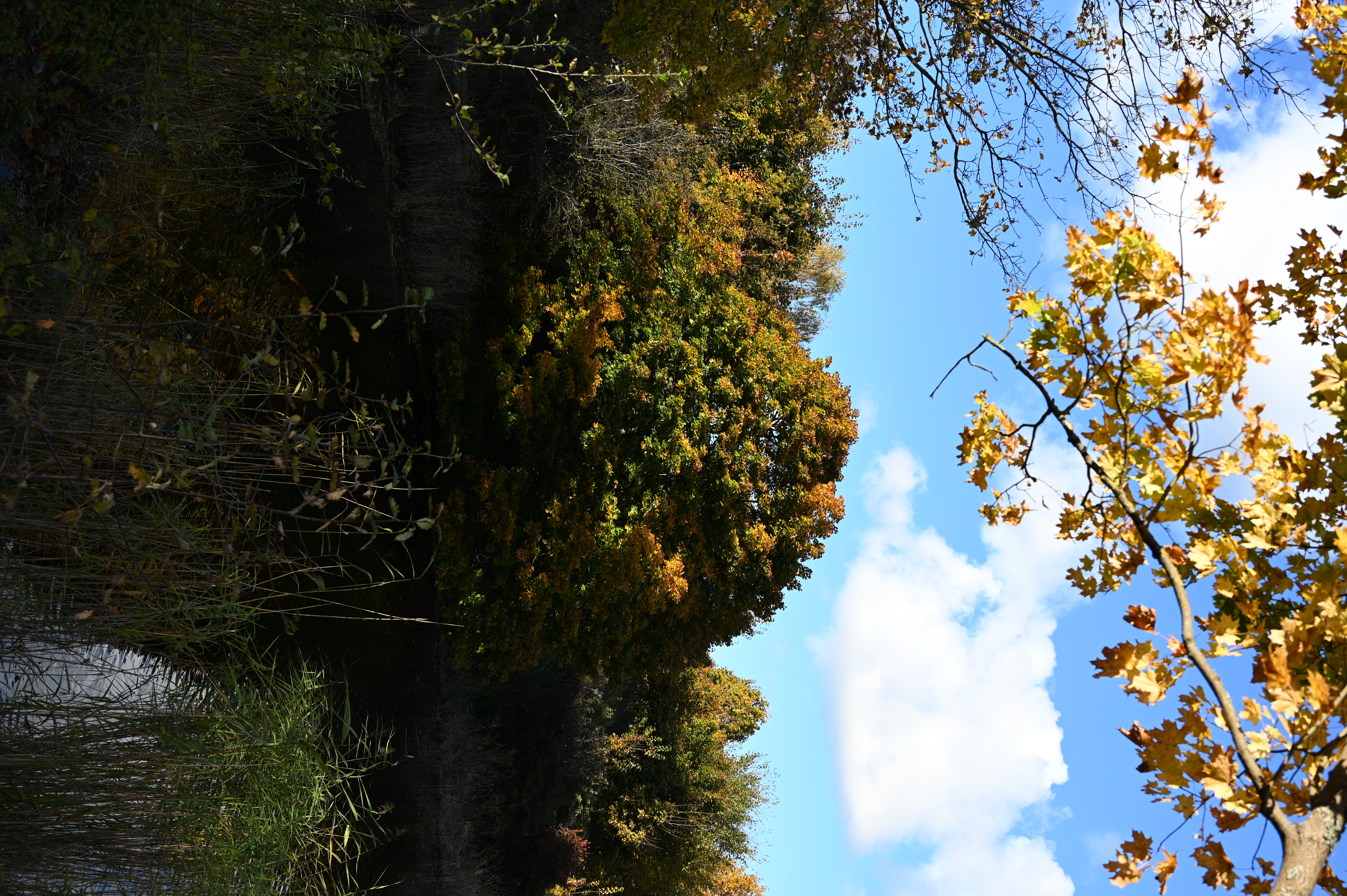 2025/10/18 - walk/DSC_0127.JPG